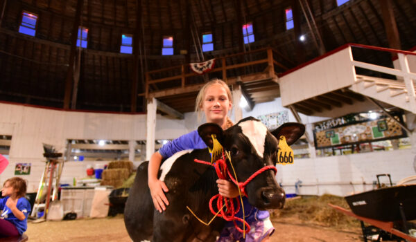 Showing animals at the World's Largest Round Barn in Marshfield, Wisconsin.